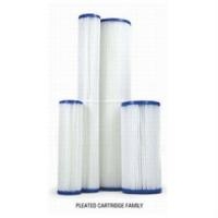 Nelsen 2-1/2" x 9-3/4" Pleated 1 micron Cartridge (NPF-1-975)