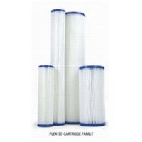 Nelsen 2-1/2" x 9-3/4" Pleated 1 micron Cartridge (NPF-1-975)